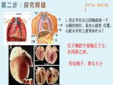 4.4.3++输送血液的泵--心脏（1）课件-2023--2024学年人教版生物七年级下册