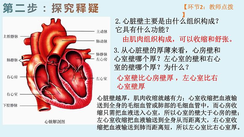 4.4.3++输送血液的泵--心脏（1）课件-2023--2024学年人教版生物七年级下册第6页