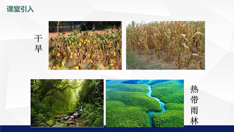 5.3++吸收作用++课件-2023-2024学年北师大版生物七年级上册第5页