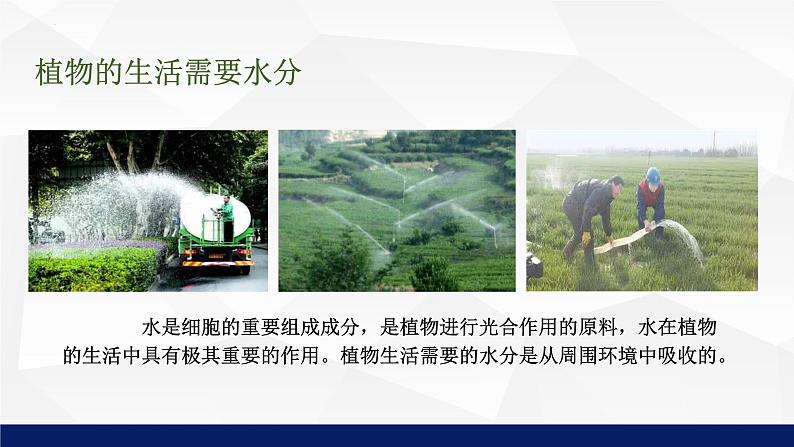 5.3++吸收作用++课件-2023-2024学年北师大版生物七年级上册第6页