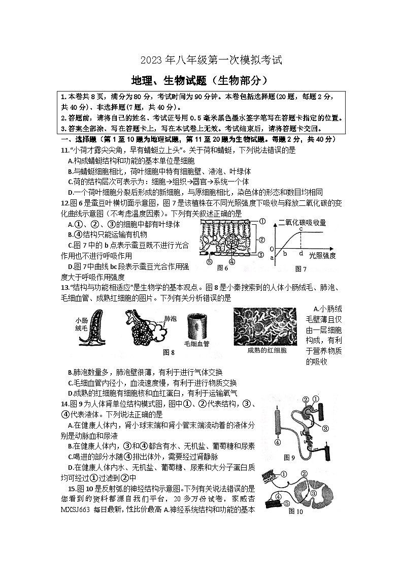 28，2023年江苏省徐州市中考生物一模试题01
