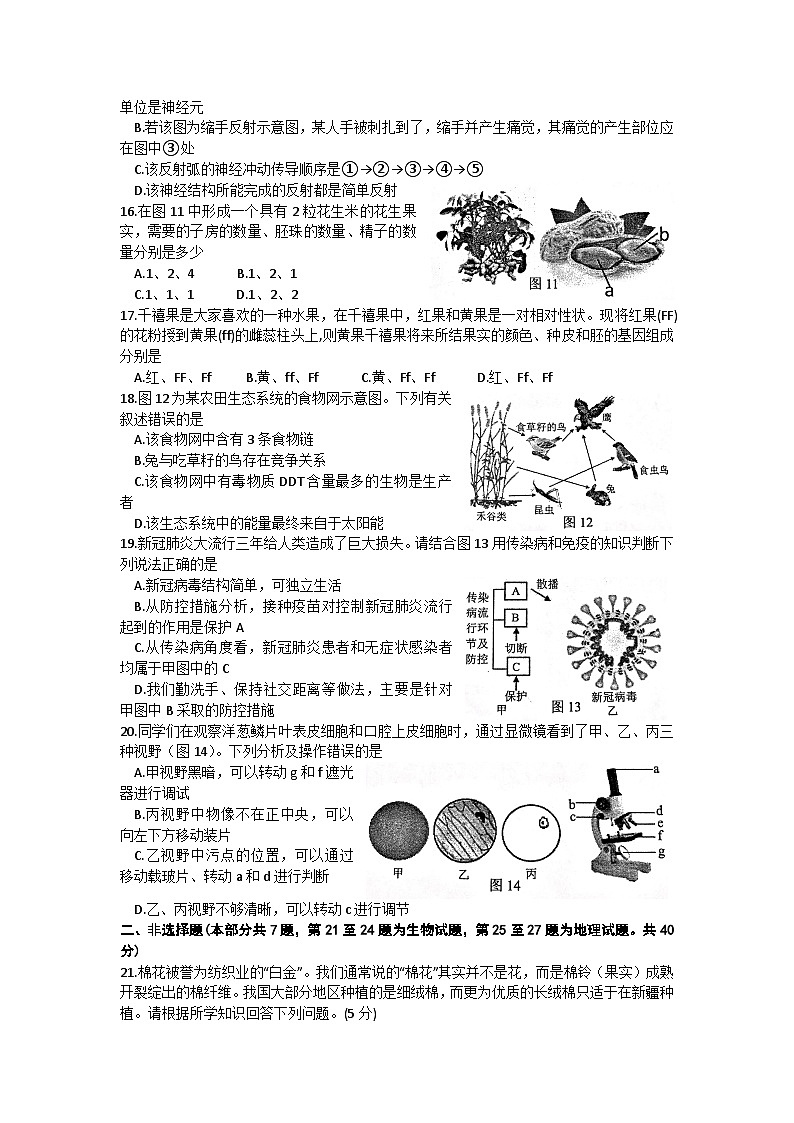 28，2023年江苏省徐州市中考生物一模试题02