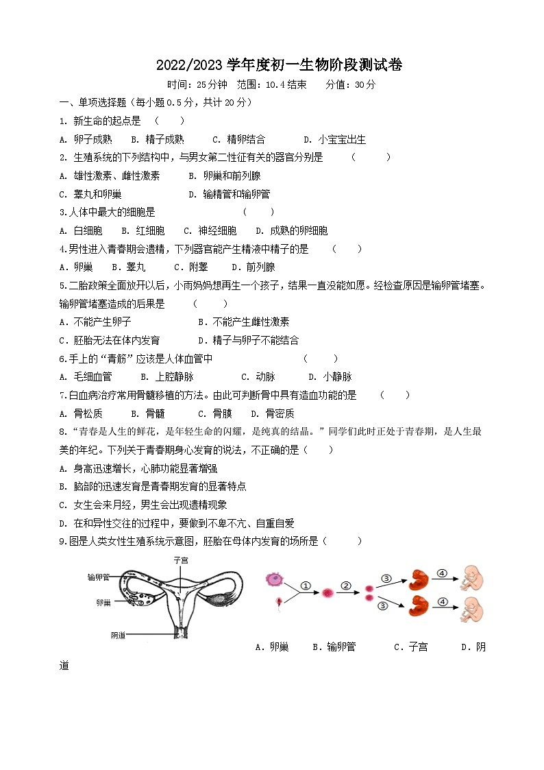 39，江苏省盐城市射阳外国语学校2022-2023学年七年级下学期第一次月考生物试题01