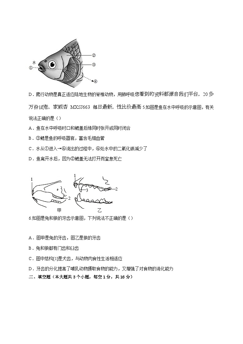 40，四川省泸州市合江县第五片区2023-2024学年八年级上学期第一次月考生物试题02