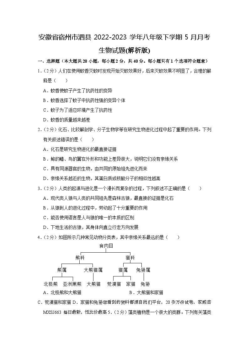 51，安徽省宿州市泗县2022-2023学年八年级下学期5月月考生物试题01