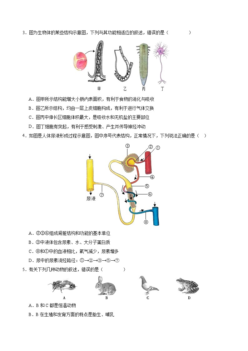 2024年初三中考第一次模拟考试试题：生物（安徽卷）（考试版A4）02