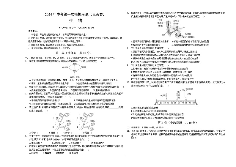 2024年初三中考第一次模拟考试试题：生物（包头卷）（考试版A3）01