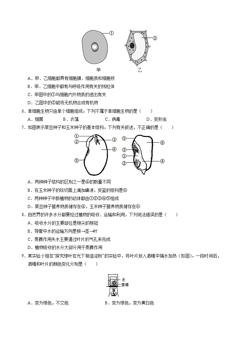 2024年初三中考第一次模拟考试试题：生物（苏州卷）（考试版A4）02