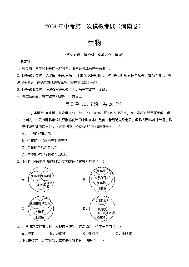 2024年初三中考第一次模拟考试试题：生物（河南卷）（考试版A4）第1页