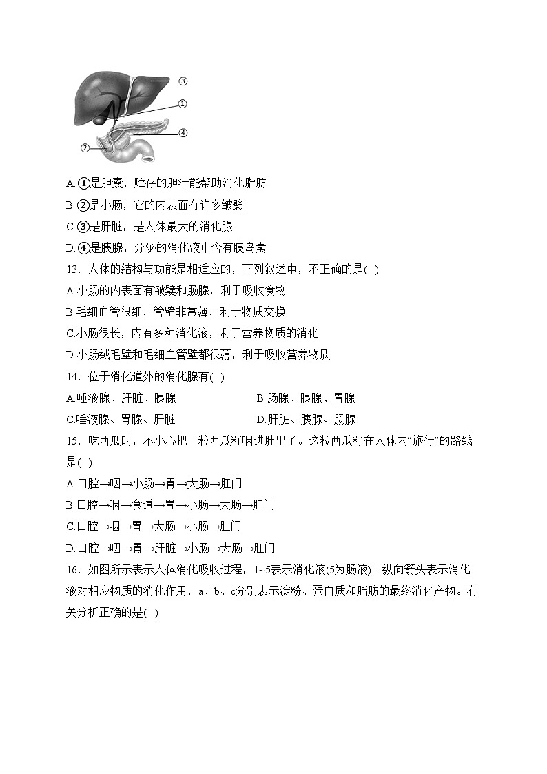 河北省石家庄市第四十二中学2022-2023学年七年级下学期第一次月考生物试卷(含答案)第3页
