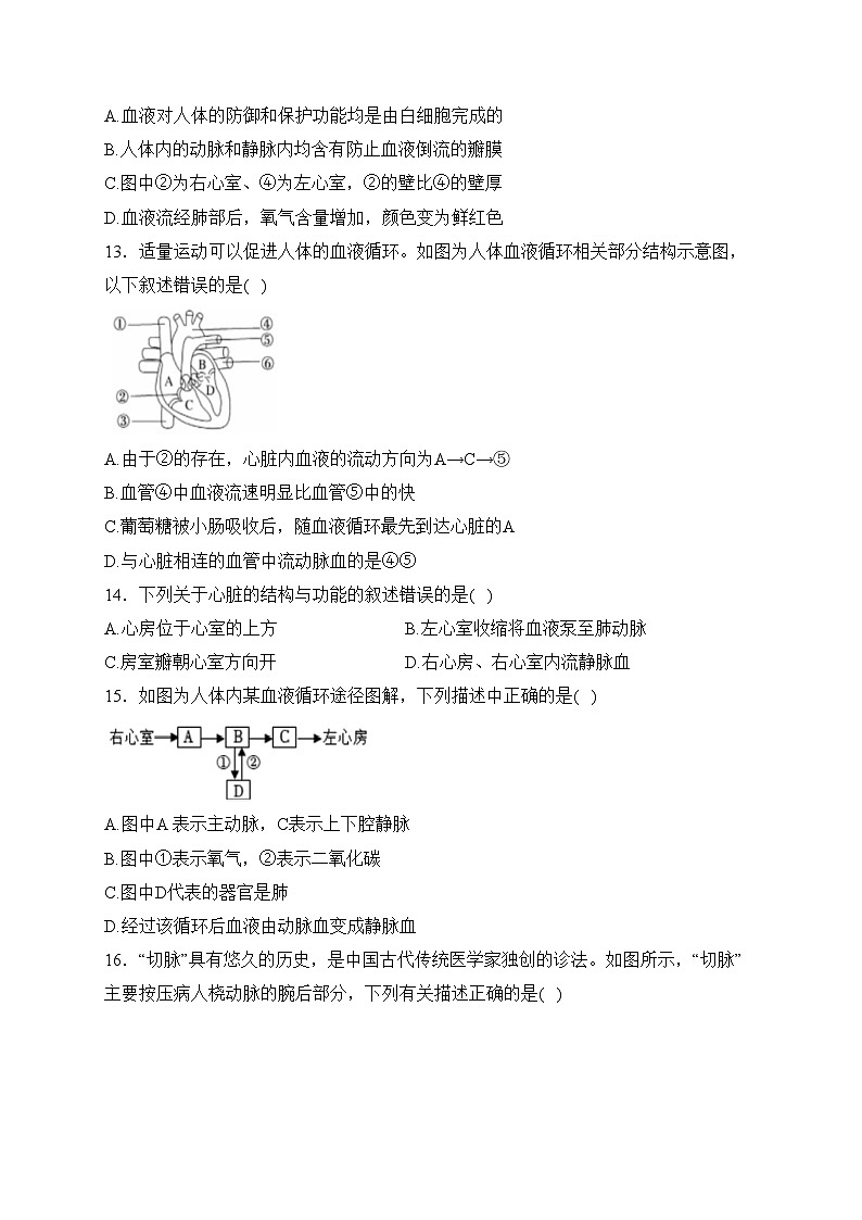 河北省石家庄市高邑县2022-2023学年七年级下学期期中教学质量检测生物试卷(含答案)03