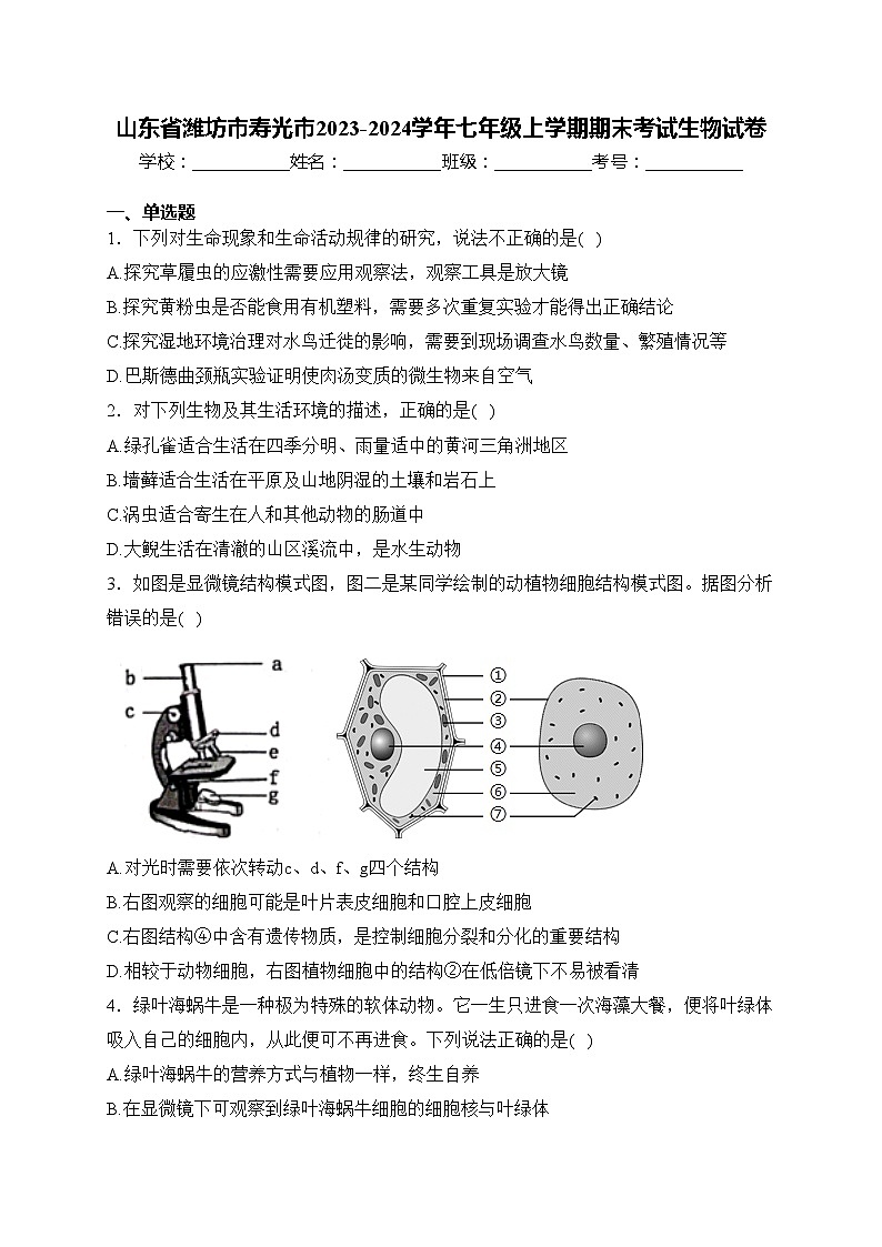 山东省潍坊市寿光市2023-2024学年七年级上学期期末考试生物试卷(含答案)第1页