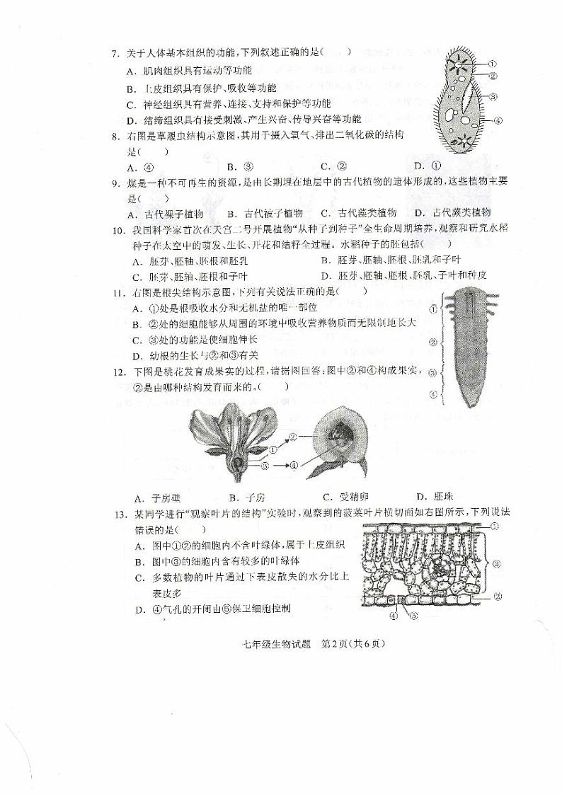 河南省驻马店市平舆县2023-2024学年七年级上学期期末生物学试题第2页