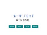 4.1.3++青春期++课件-2023-2024学年人教版生物七年级下册