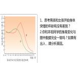 4.1.3++青春期++课件-2023-2024学年人教版生物七年级下册