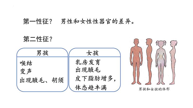 4.1.3++青春期++课件-2023-2024学年人教版生物七年级下册第8页