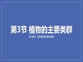 22.3++植物的主要类群（第1课时）课件-2023-2024学年北师大版生物八年级下册