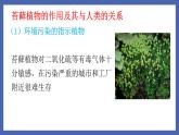 22.3++植物的主要类群（第1课时）课件-2023-2024学年北师大版生物八年级下册
