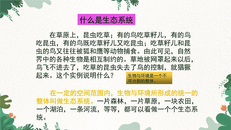 人教版生物七年级上册 1.2.2 生物与环境组成生态系统课件04