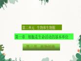 人教版生物七年级上册 2.1.2 植物细胞课件