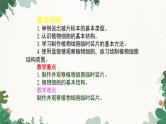 人教版生物七年级上册 2.1.2 植物细胞课件