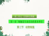 人教版生物七年级上册 2.1.3 动物细胞课件