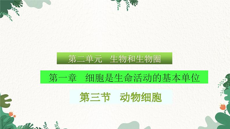 人教版生物七年级上册 2.1.3 动物细胞课件01