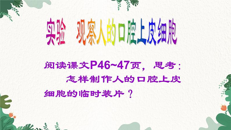 人教版生物七年级上册 2.1.3 动物细胞课件05