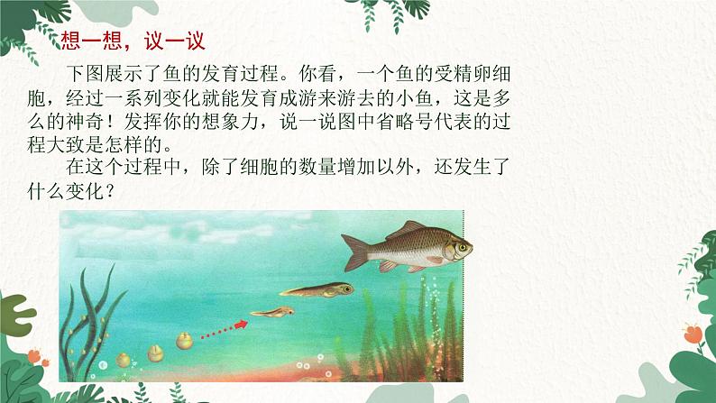 人教版生物七年级上册 2.2.2 动物体的结构层次课件第3页