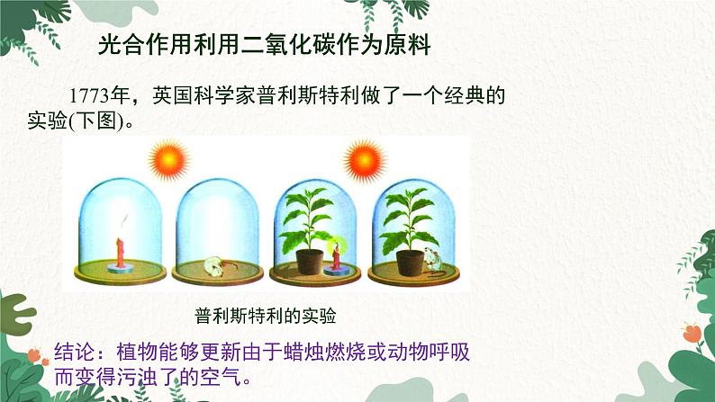 人教版生物七年级上册 3.5.1 光合作用吸收二氧化碳释放氧气课件06