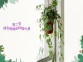 人教版生物七年级上册 3.5.2 绿色植物的呼吸作用课件