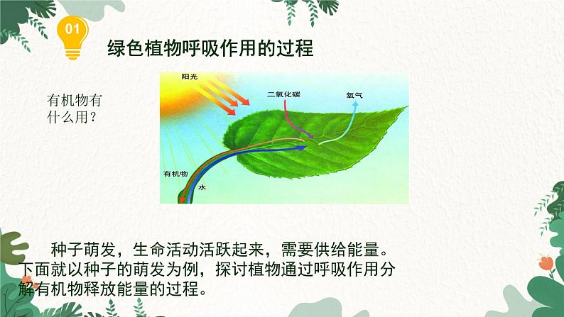 人教版生物七年级上册 3.5.2 绿色植物的呼吸作用课件06