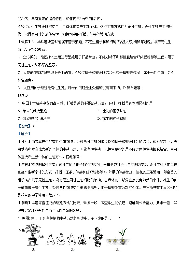 18，山东省聊城市东阿县第三中学2023-2024学年八年级下学期开学考试生物试题03