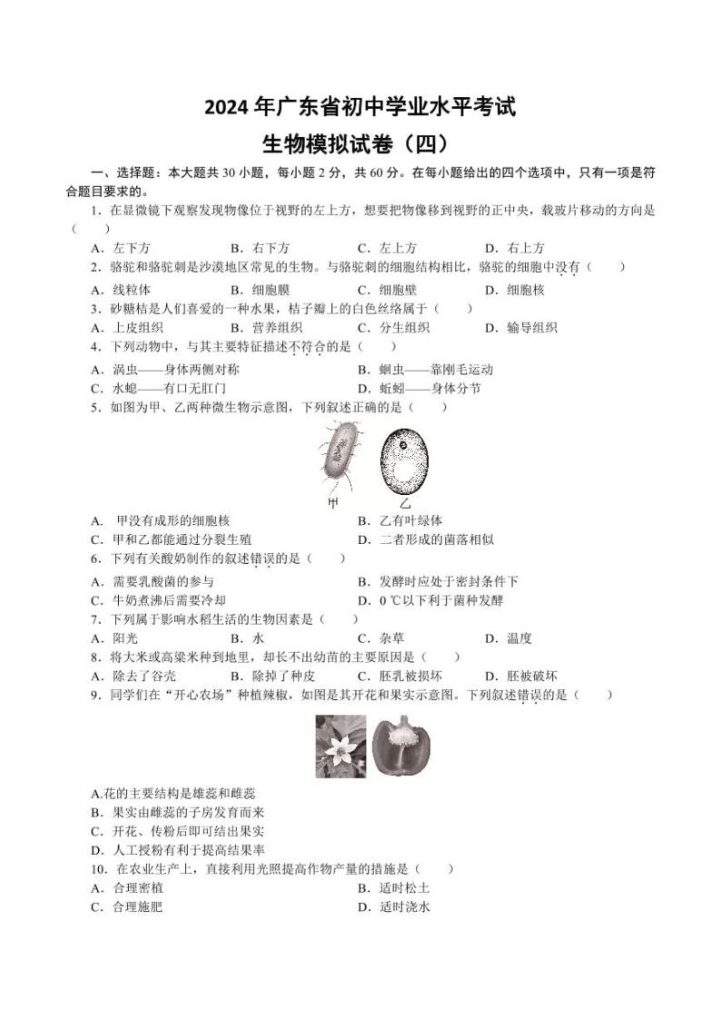 20，2024年广东省初中学业水平考试生物模拟试卷四(1)01