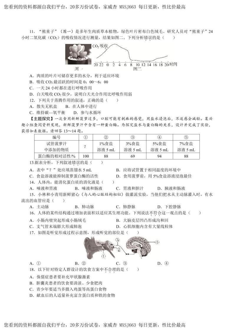 20，2024年广东省初中学业水平考试生物模拟试卷四(1)02