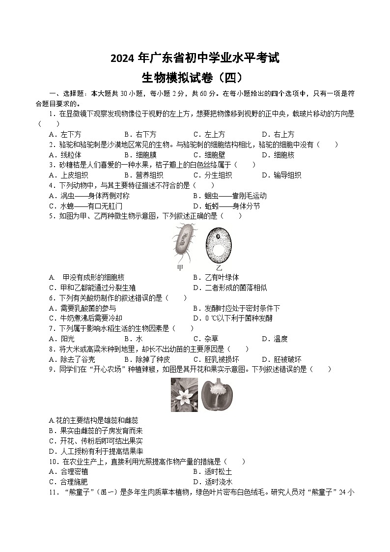 20，2024年广东省初中学业水平考试生物模拟试卷四01