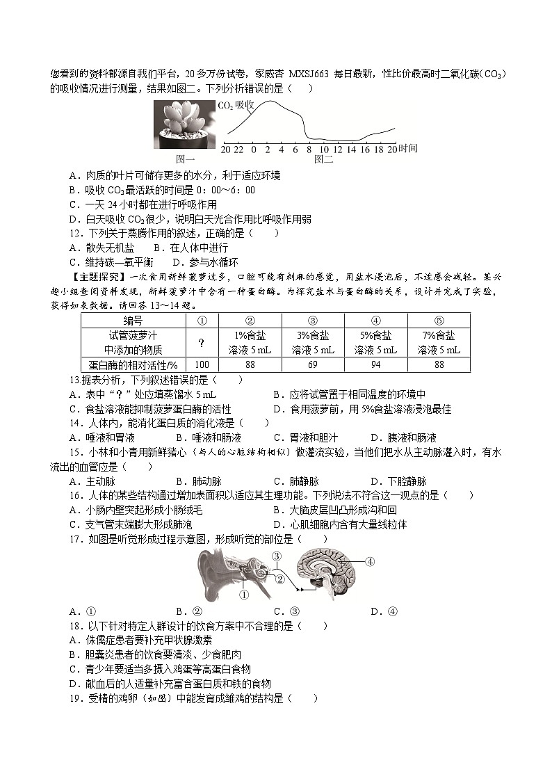 20，2024年广东省初中学业水平考试生物模拟试卷四02