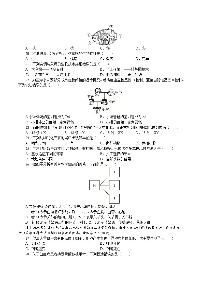 20，2024年广东省初中学业水平考试生物模拟试卷四03
