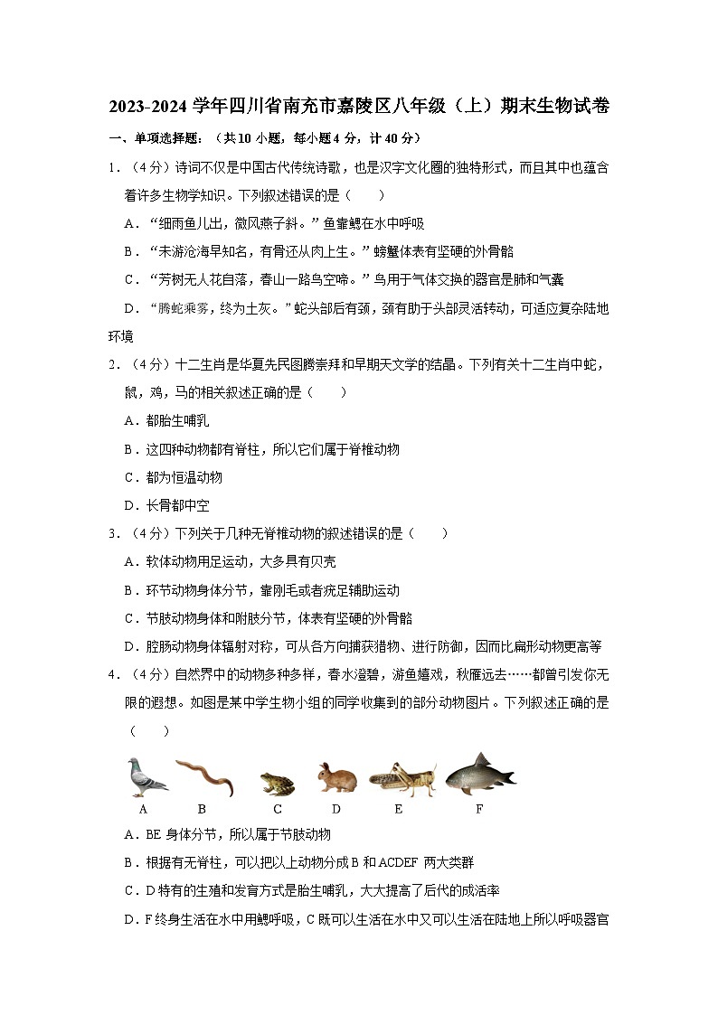 28，四川省南充市嘉陵区2023-2024学年八年级上学期期末生物试卷第1页