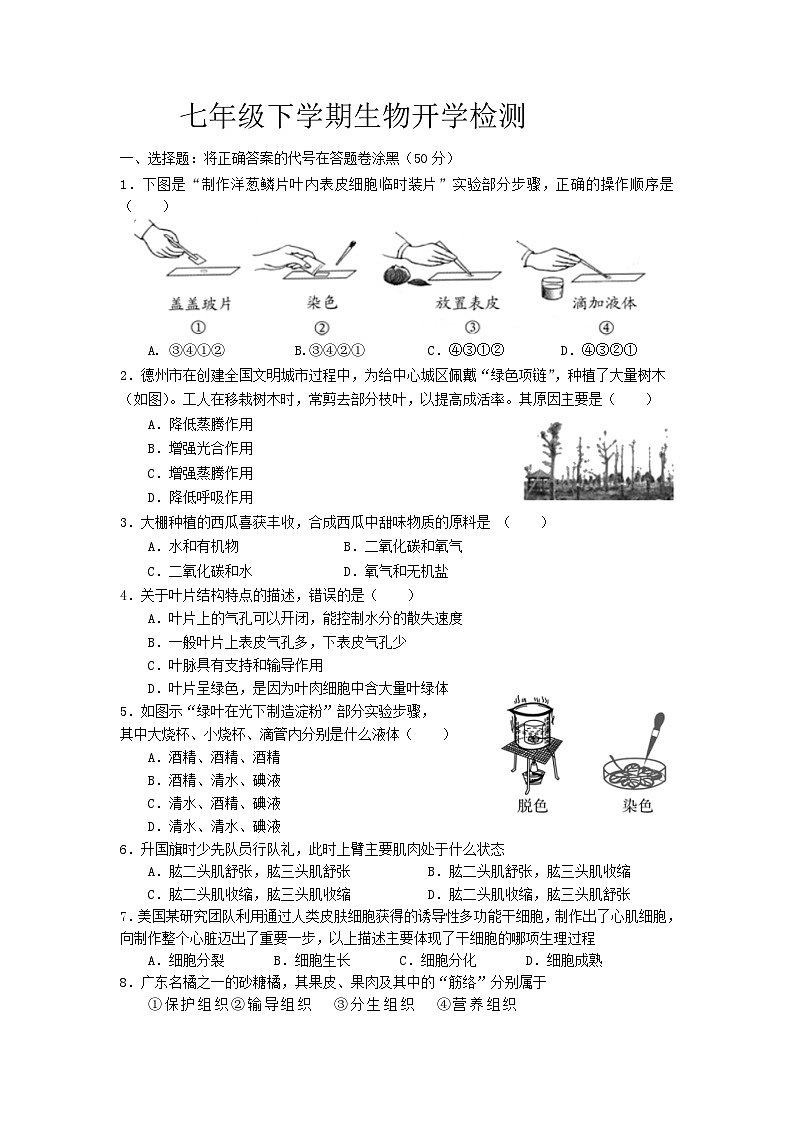 33，山东省齐河县马集乡中学2023-2024学年七年级下学期开学摸底考试生物试题第1页