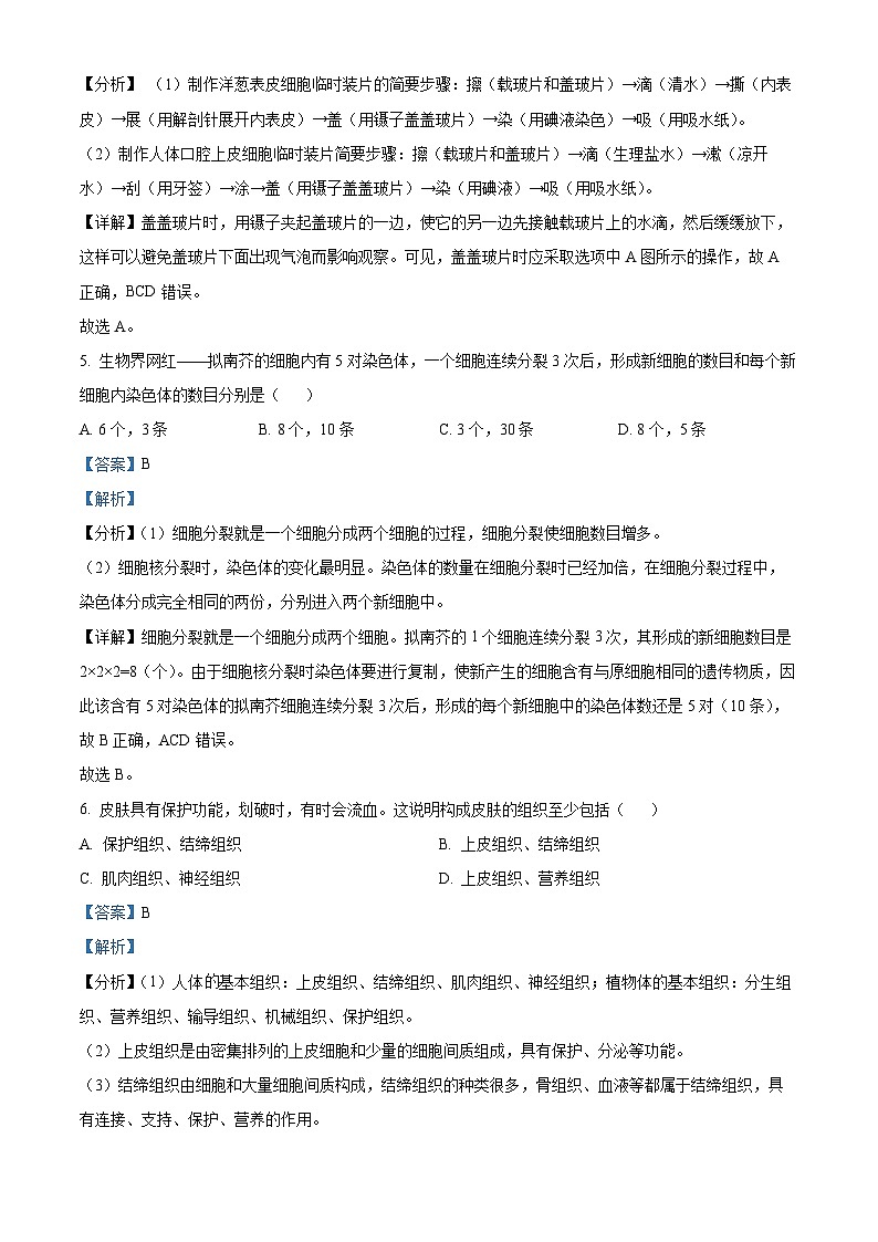 37，甘肃省定西市临洮县2023-2024学年七年级上学期期末生物试题03
