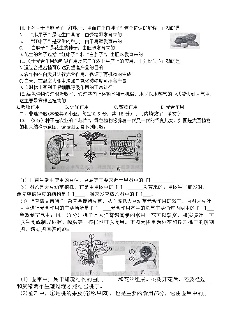 43，辽宁省鞍山市铁西区2023~2024学年七年级下学期开学考试生物试卷(1)02
