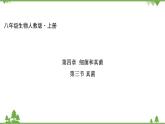 人教版生物八年级上册 第五单元 第四章第三节 真菌课件