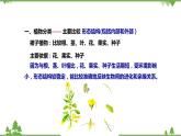 人教版生物八年级上册 第六单元 第一章第一节  尝试对生物进行分类课件