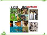 人教版生物八年级上册 第六单元 第一章第一节  尝试对生物进行分类课件