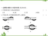 人教版生物八年级上册 第五单元第二、三章综合测试课件