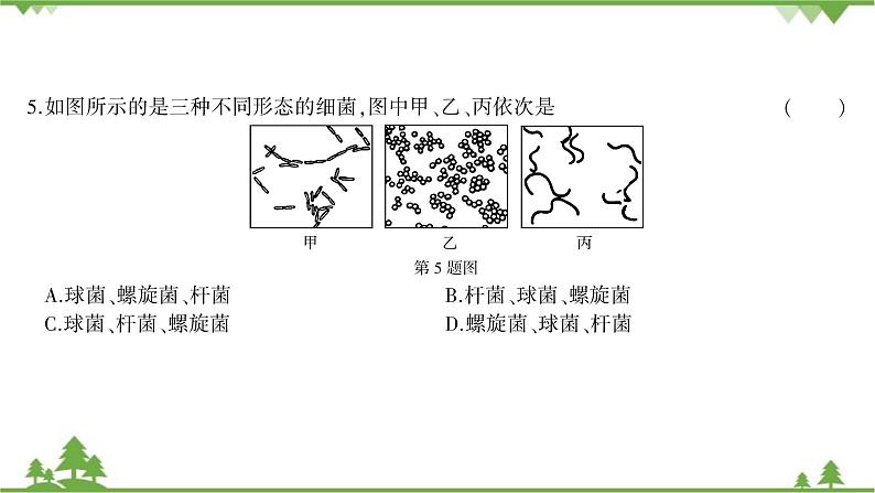 人教版生物八年级上册 第五单元第四、五章综合测试课件04