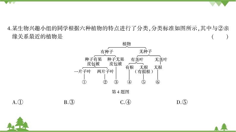 人教版生物八年级上册 第六单元综合测试课件03