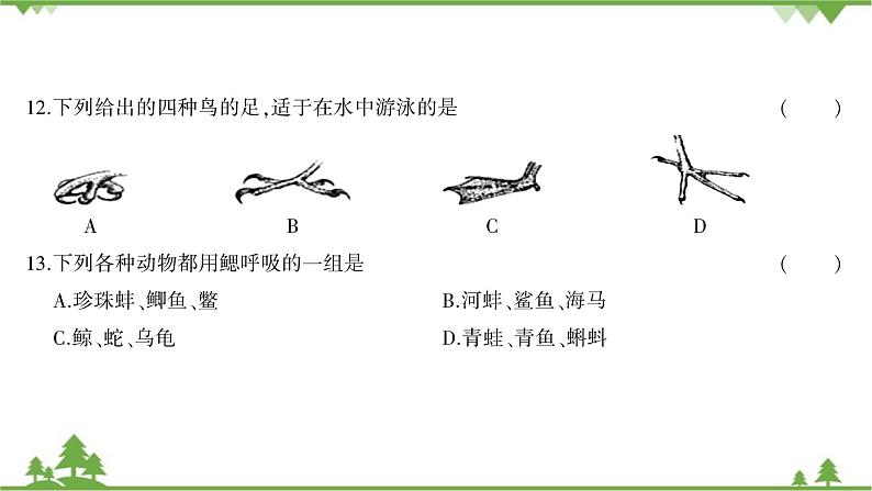 人教版生物八年级上册 期中综合测试课件06