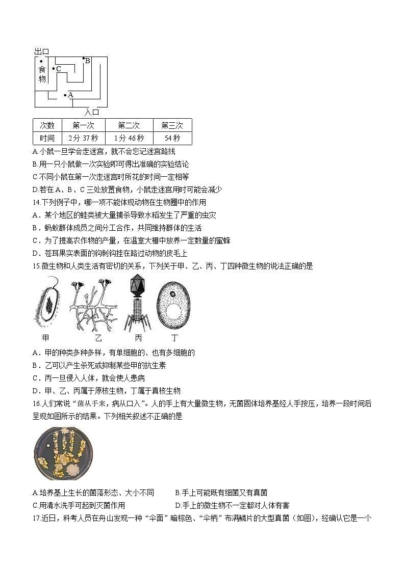 湖南省娄底市新化县2023-2024学年八年级上学期期末生物试题第3页